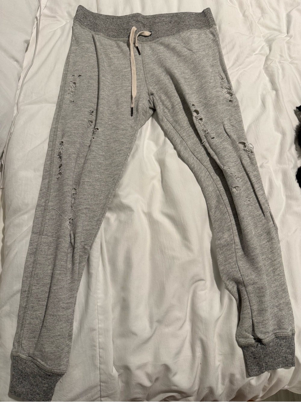 n:PHILANTHROPY Light Gray Distressed Joggers